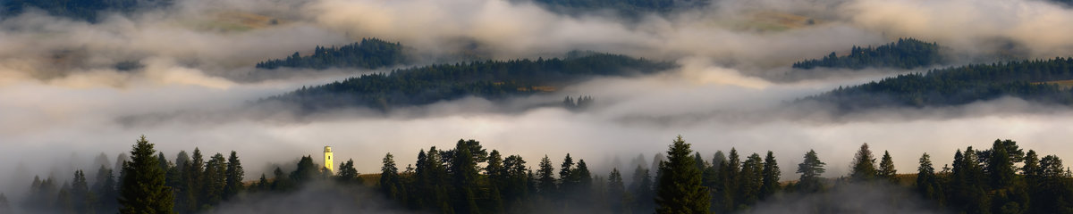 Virtuves panelis dizains SPJ 004